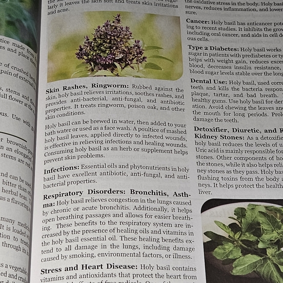 The lost book of herbal remedies - Picture 4 of 4